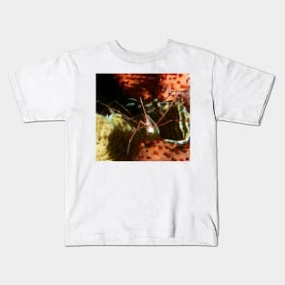 Arrow Crab at Night Kids T-Shirt